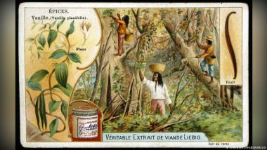 How Vanilla's History is Not So &hellip; 'vanilla'