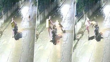 Leopard Attack in Indore Video: Blinkit Delivery Rider Escapes After Big Cat Charges at Motorcycle in MP