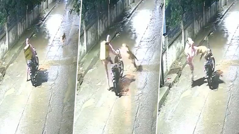 Leopard Attack in Indore Video: Blinkit Delivery Rider Escapes After Big Cat Charges at Motorcycle in MP