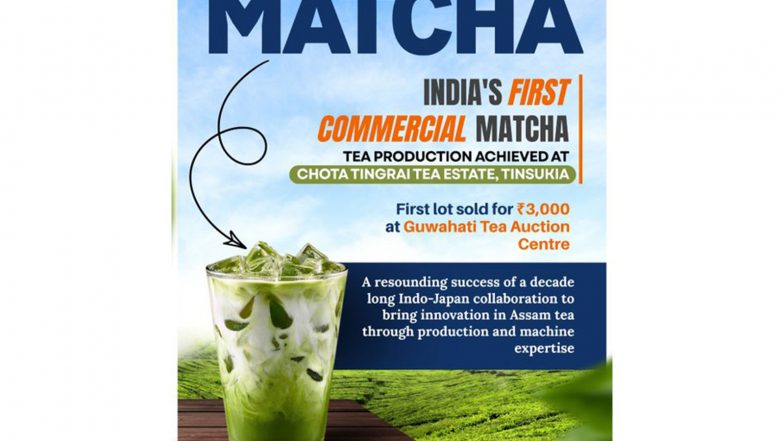 India News | Assam Tea Estate Launches India's First Commercially Produce Matcha Tea