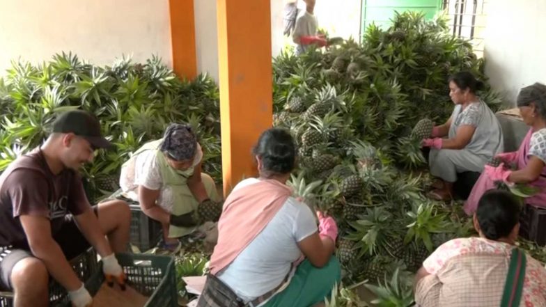India News | Meghalaya's Jirang FPC Revenue Surges to Rs 1.17 Crore as Women Farmers Take GI-tagged Agro Products Global