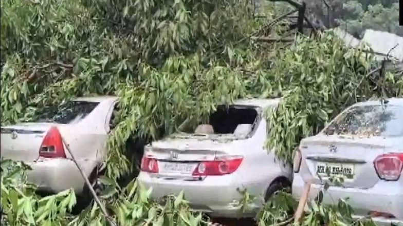 India News | 142  Trees Uprooted, 2 Killed as Heavy Rains Continue to Batter Mumbai; Civic Body on High Alert