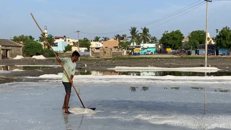 India News | Tamil Nadu: Thoothukudi Salt Pan Workers Seek Better Welfare Support as Production Remains in Full Swing Ahead of Monsoon