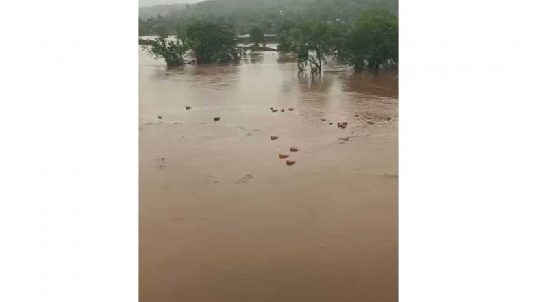 India News | Raigad: 3,000 HPCL Gas Cylinders Swept Away into Patalganga River Amid Heavy Floods; Admin Issues High Alert