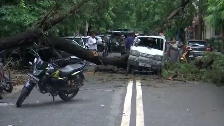 India News | Delhi: Tree Falls on Van in Rohini Following Heavy Rainfall; No Casualties Reported