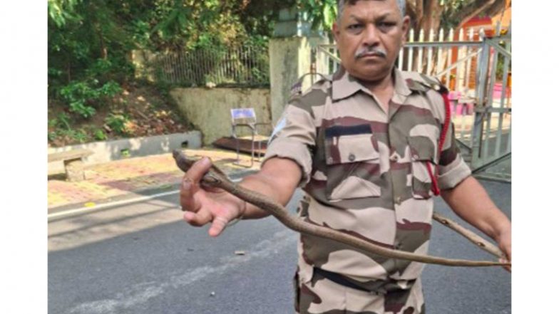 India News | Jharkhand: CISF Man Rescues Seven Cobras from Residential Quarter