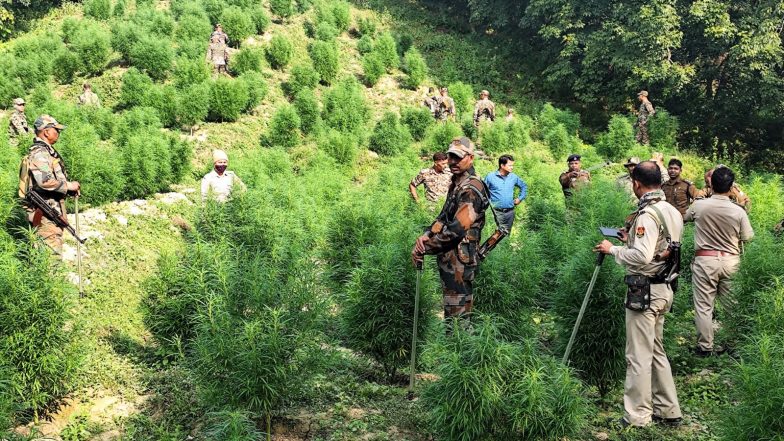 World News | Nepal's Gandaki Province Assembly Unanimously Passes Bill to Legalise Marijuana Cultivation for Medicinal, Industrial Use