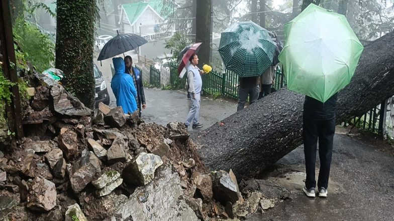 India News | Heavy Rain Disrupts Normal Life in Shimla; Uprooted Tree Blocks Banmore Road
