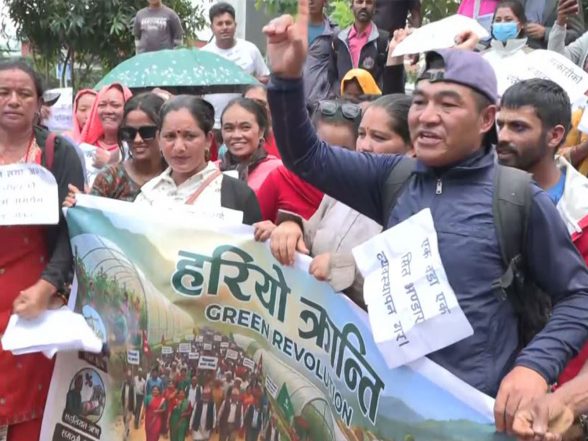 World News | Nepal: Tomato Farmers Protest over Low Prices, Accuse Government of Neglect