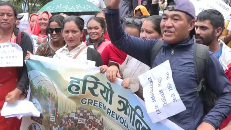 World News | Nepal: Tomato Farmers Protest over Low Prices, Accuse Government of Neglect