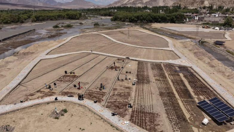 India News | India's Highest Commercial Lilium Cultivation Begins in Ladakh's Choglamsar