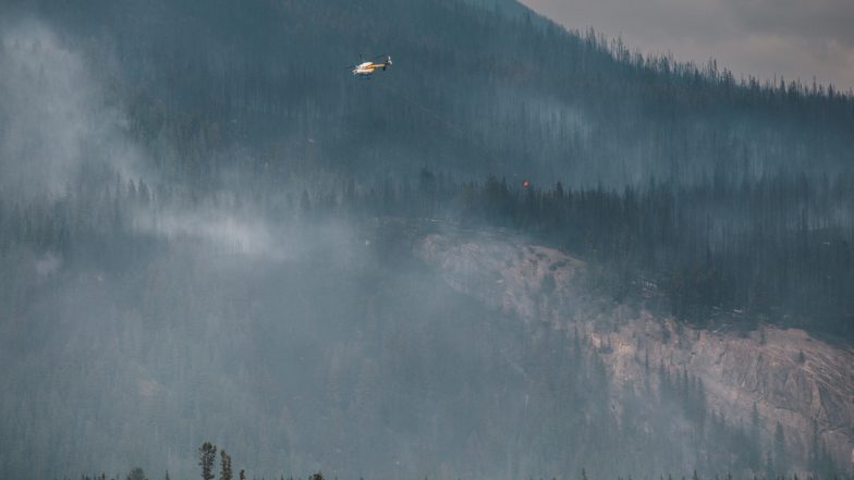World News | Trump Warns of Tariffs on Canada over Wildfire Smoke Choking US Cities