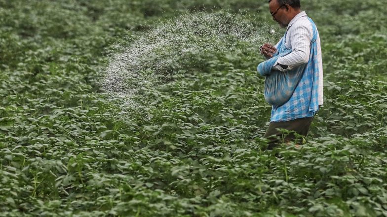 Business News | Govt Says Direct Transfer of Fertilizer Subsidy to Farmers Not Under Consideration Yet