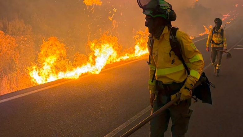 World News | Wildfire Burns Southern Europe as Spain Declares National Emergency; France Seeks EU Help, Italy Battles in Sicily