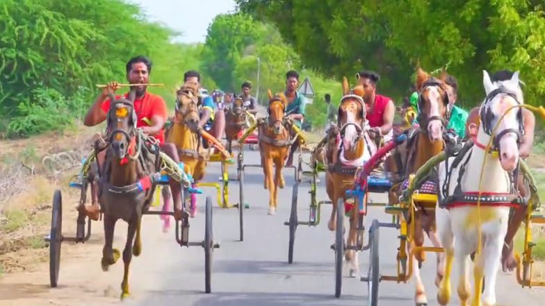 India News | TN: Horse Cart Race Organised on Occasion of the Aadi Festival at Ariyanachi Amman Temple in Rameswaram