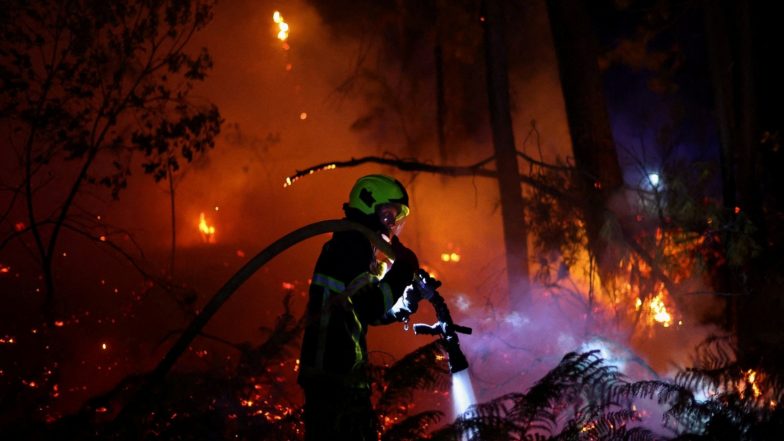 World News | Nearly 3,00,000 Evacuated as Wildfires Advance Toward Bordeaux in France and Devastate Central Spain