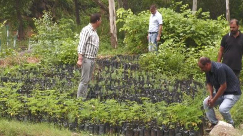 India News | J-K: Udhampur Forest Division Launches Monsoon Plantation Drive