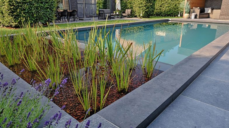 Business News | EcoScapes Landscaping Collaborates with Fluidra India to Source Premium Bio Swimming Pool Systems and Materials
