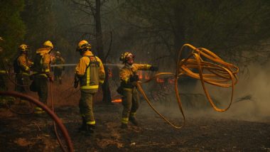 France Wildfire Forces 2.2 Lakh Evacuations as Massive Blaze Nears Bordeaux