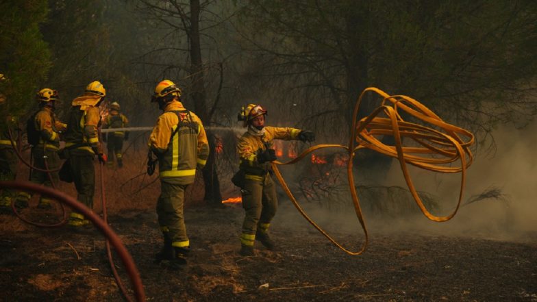 France Wildfire Forces 2.2 Lakh Evacuations as Massive Blaze Nears Bordeaux
