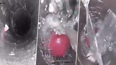 Ambala Borewell Tragedy: 4-Year-Old Boy Dies After 220 ft Fall; Video Shows Drowning Due to Water Leak