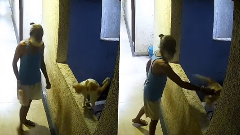 Ambernath Animal Cruelty: Man Caught on CCTV Pushing Cat From High-Rise Building, Animal Dies (Disturbing Video)