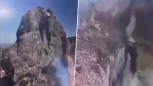 Brazil Hiking Tragedy Video: 44-Year-Old Hiker Falls 500 Feet to Death at Rio's Pedra Do Macaco After Posing for Photo