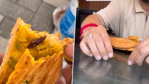social-viral-Cockroach Found in Food at Coffee Day Outlet in Vaishno Devi Shrine; Vendor Denies Then Eats It (Videos)