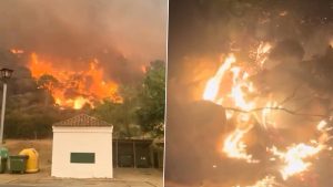 sports-Tour de France Final Stage Shortened: Wildfires Devastate 98,000 Hectares of Wooded Terrain in France