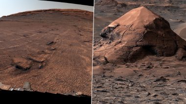 NASA&rsquo;s Curiosity Rover Discovers Vast Field of Honeycomb-Like Textures on Mars (See Pics)
