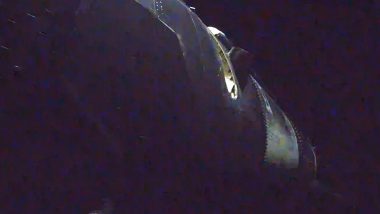 SpaceX V3 Starlink Satellites Launched But Suffers Booster Failure
