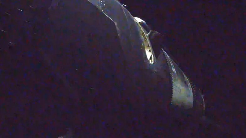 SpaceX V3 Starlink Satellites Launched But Suffers Booster Failure