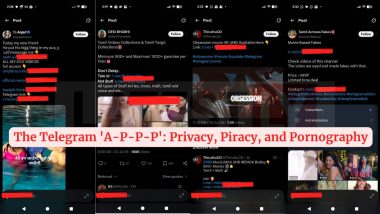The Telegram 'A-P-P-P': Privacy, Piracy, and Pornography