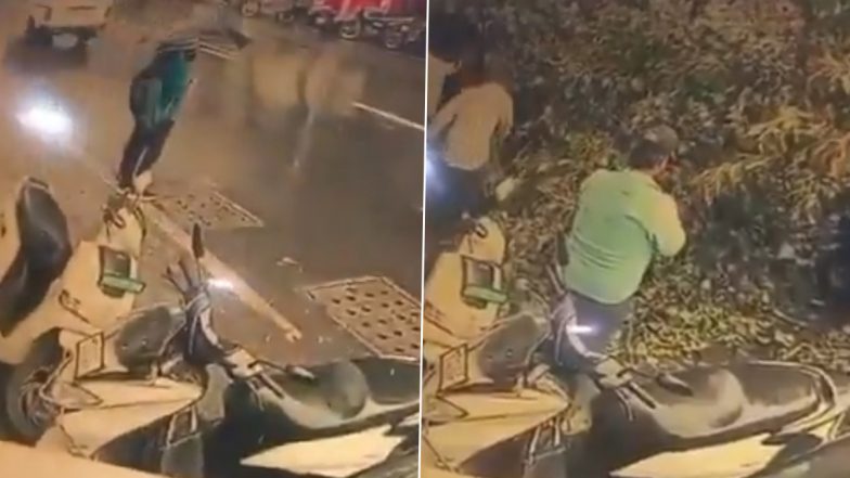 Pune Tree Collapse: Young Girl Narrowly Escapes Unhurt After Massive Tree Collapses Near Abhinav Chowk (Watch Video)