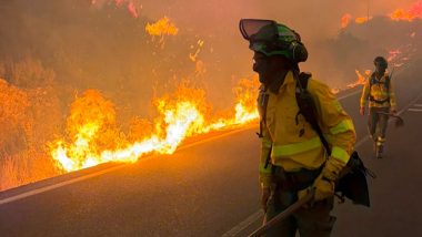 Wildfire Crisis in Europe: Spain Declares National Emergency; France Seeks EU Help, Italy Battles in Sicily