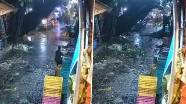 Mumbai Rains: Tree Collapses at Meenatai Thackeray Flower Market in Dadar After Heavy Rainfall (Watch Videos)