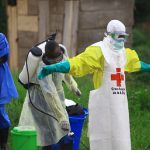 DR Congo Ebola Outbreak Becomes Country’s Largest Ever, WHO Warns of Rapid Spread