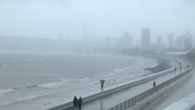 Mumbai Rains: 8 Injured in Santacruz Tree Collapse As IMD Warns of Heavy Rainfall (Watch Videos)