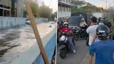 Indonesia Earthquake: Small Tsunami Hits Bonea and Jampea After 7.7 Magnitude Quake Near Flores; Videos Surface