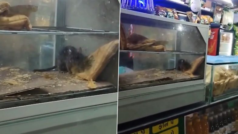 Surat Railway Station Rat Video: Rodent Seen Eating Puff at Tea Stall, Authorities Shut It Down