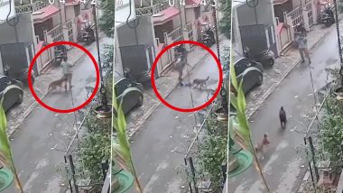 Pune Stray Dog Attack Video: Canine Bites Mother, Child Falls From Arms in Pimpri-Chinchwad