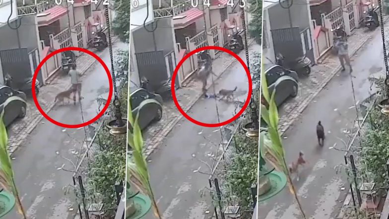 Pune Stray Dog Attack Video: Canine Bites Mother, Child Falls From Arms in Pimpri-Chinchwad