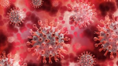 Delhi H1N1 Cases Rise Past 2,300; IMA Says No Cause for Panic, Issues Antibiotic Warning