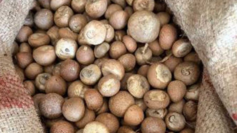 DRI Busts INR 2,500 Crore Areca Nut Import Scam, 9 Arrested for Falsely Declaring Southeast Asian Origin