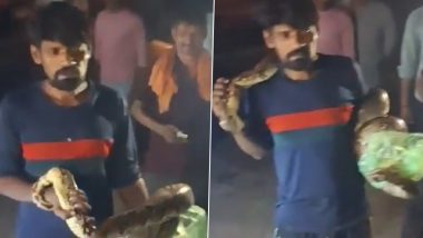 Viral Video Shows &lsquo;Drunk&rsquo; Man Wrapping 15-Foot Python Around His Hand After Snake Enters Barabanki Meat Shop