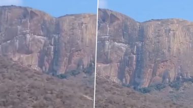 Kenya Helicopter Crash Video: Aircraft Crashes in Samburu, Tourists Reportedly on Board