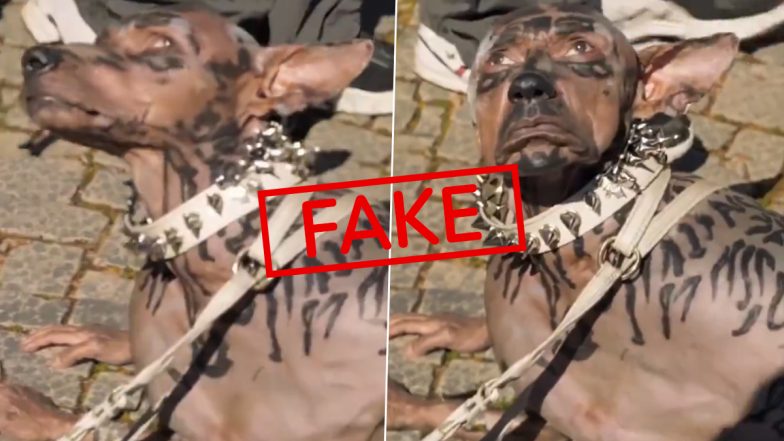 Did a Man Turn Into a Dog Via Plastic Surgery Due to Dog Obsession? No, Viral Video Is Fake