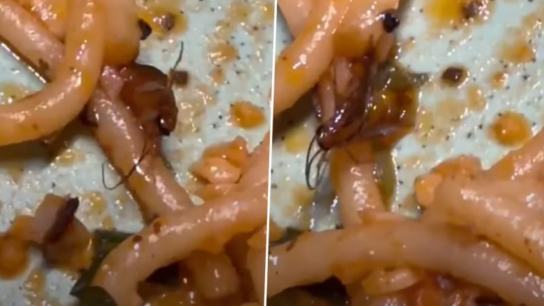 Viral Video: Dead Cockroach Found in Dish at the Food Town in Mumbai, Customer Files Complaint