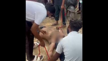 Baghpat Rabies Death: Dog Bite Victim Dies After 3 Months, 55 Villagers Get Anti-Rabies Shots (Video)