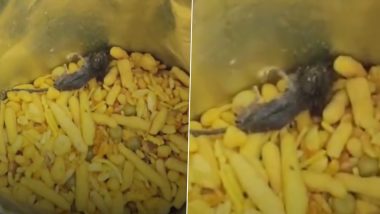 Dead Mouse Found Inside Sealed Khatta Meetha Namkeen Packet in Kanpur Dehat, Probe Launched